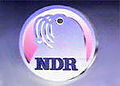 NDR-Logo mit schwarzem Auge