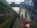 Shelesnodoroshnaja Fahrt von Petuschki nach Moskau